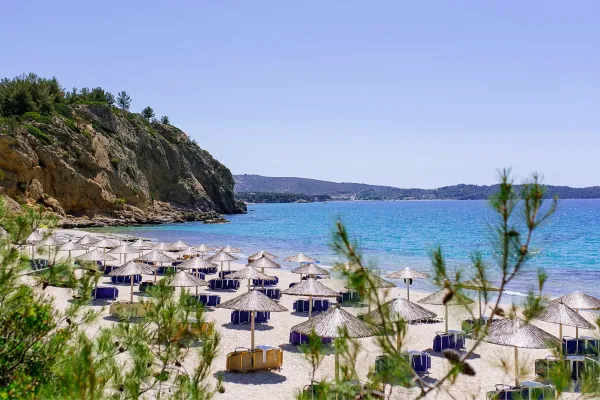 view-of-metallia-beach-in-thassos-with-traditional-straw-umbrellas-and-sunbeds-on-the-sandy-shore1A7E0E64-858E-57F8-9C95-01E705613148.webp